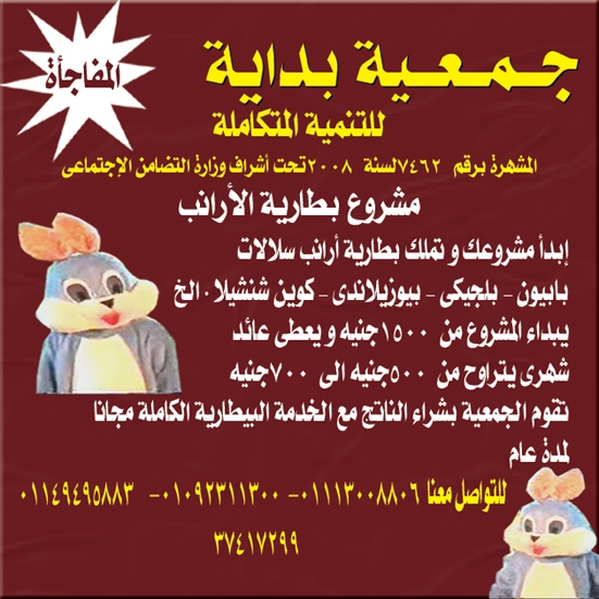 بطارية أرانب