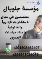 استشارات ودراسات جدوى