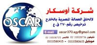 مطلوب صيدلي  لكبري الصيدليات ببريده - السعوديه  