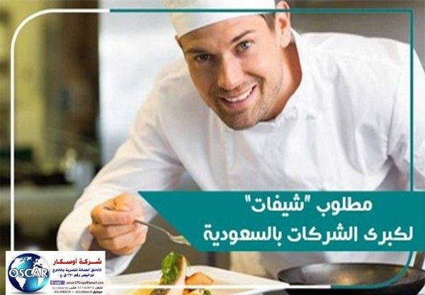 مطلوب شيفات خبرة بالمطبخ اللبنانى لشركة اعاشة كبرى بالقصيم 