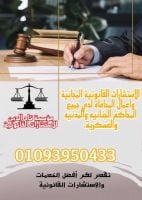 اشهر محامي في مصر 