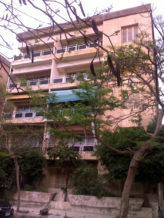 للبيع شقة تمليك مساحة 100م بالمعمورة الشاطئ بالاسكندرية بشارع هادئ