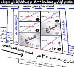 تقسيم القطع