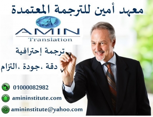 amininstitute.com