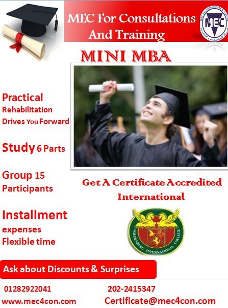 mini mba