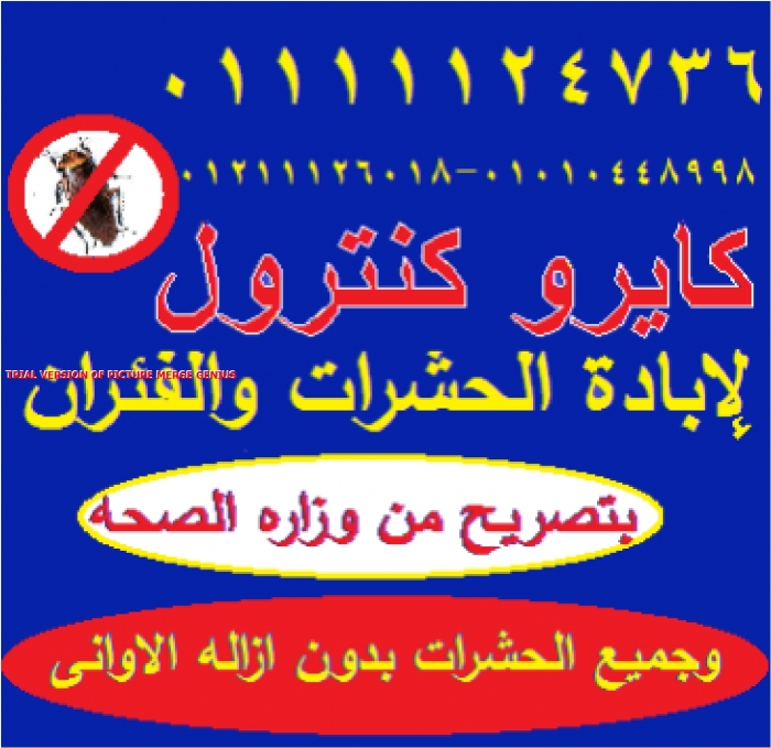 كيفيه التخلص من الحشرات نهائيا 01010448998