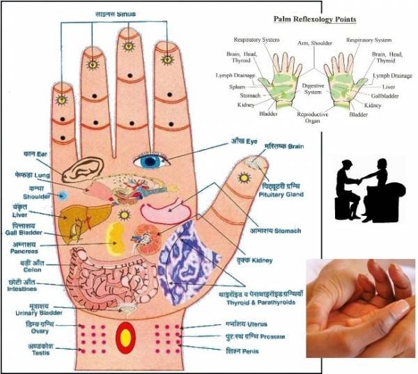 مساج وعلاج طبيعى بطريقه صينيه وباكثر من 150 نوع من الزيوت والكريمات