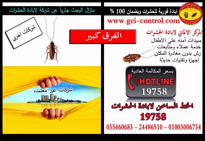 #المركز_لالماني_للابادة_الح   شرات‬ والقوارض|ابادة الحشرات|ابادة حشرات|