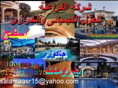 شركة الفراعنة للمقاولات والعزل الكيميائى والحرارى