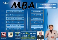 Mini MBA