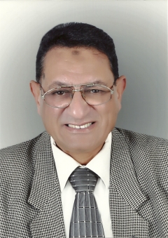 Mr.Fawzy Mohareb