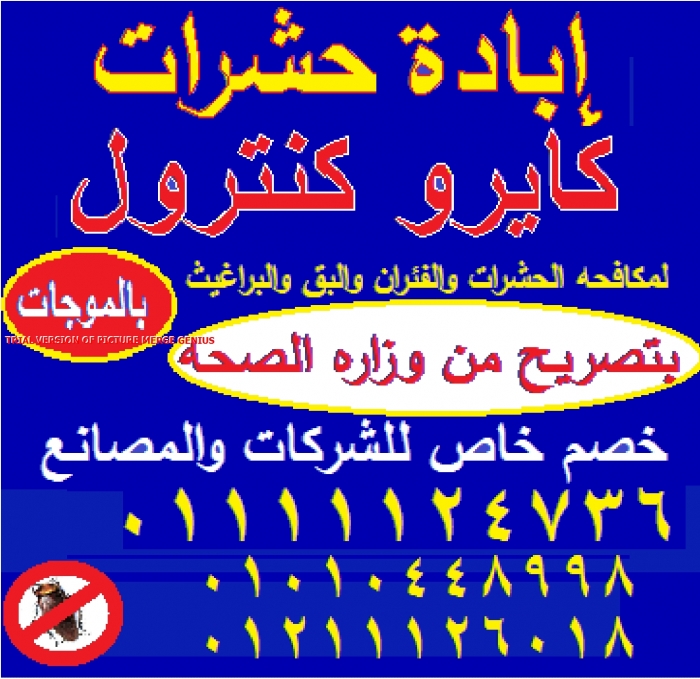 ااباده حشرات | مكافحه حشرات | كايرو كنترول |ابادة حشرات ااالمنزل 