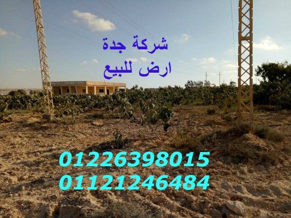 ارض زراعية للبيع بالقرب من مدينة برج العرب الجديدة فقط من شركة جدة