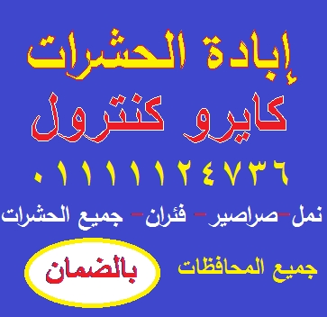 كايرو كنترول اقوي اباده حشرات 01111124736