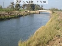 Farm_For_Sale_Giza_A