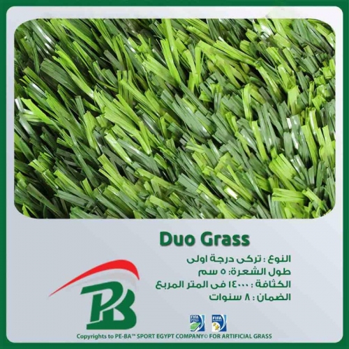 duo-grass.jpg