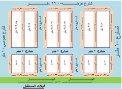 فدان العاشرة.jpg