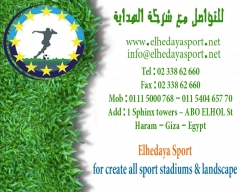 ملاعب رياضية