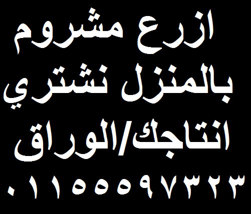 ازرع مشروم بالمنزل ندربك ونشتري انتاجك