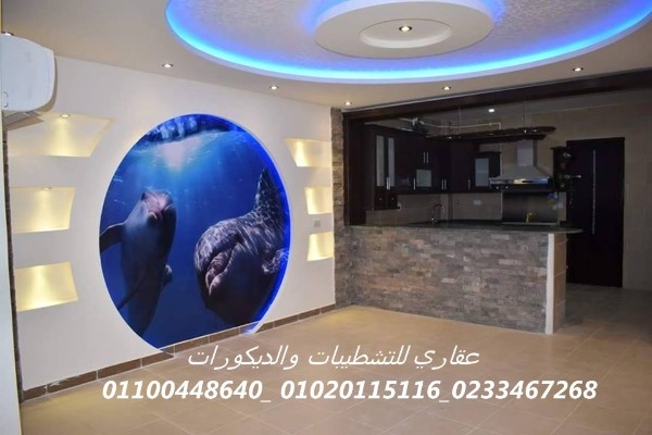  شركه ديكور (شركه عقاري للتنميه وادارة المشروعات01100448640)