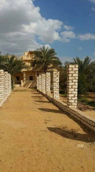 راسكوم لاستصلاح الاراضي والتنميه الزراعيه(استثمر امولك ف المكان الصحيح